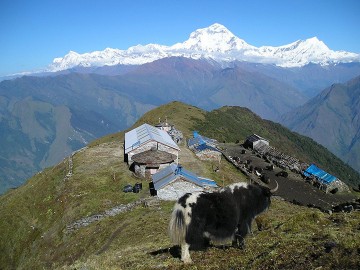 Ghorepani- Poonhill Trek